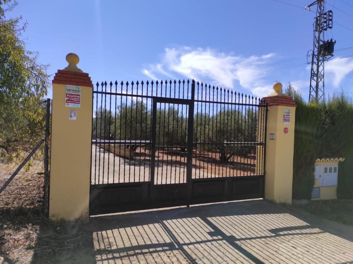 Los Abuelos Setenil De Las Bodegas Exterior photo
