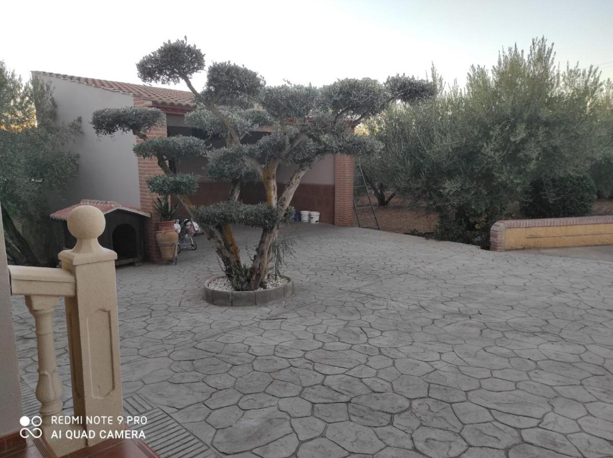 Los Abuelos Setenil De Las Bodegas Exterior photo