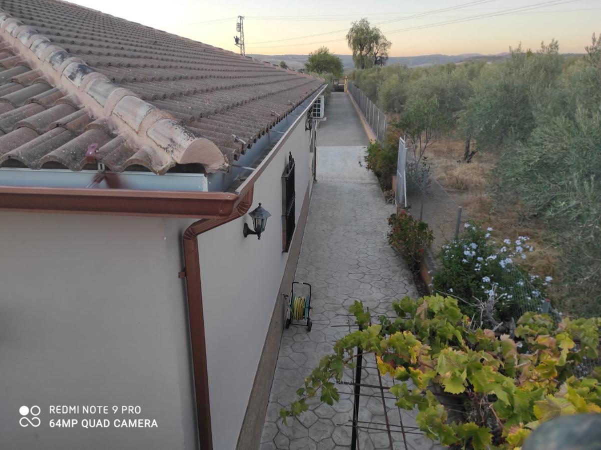 Los Abuelos Setenil De Las Bodegas Exterior photo