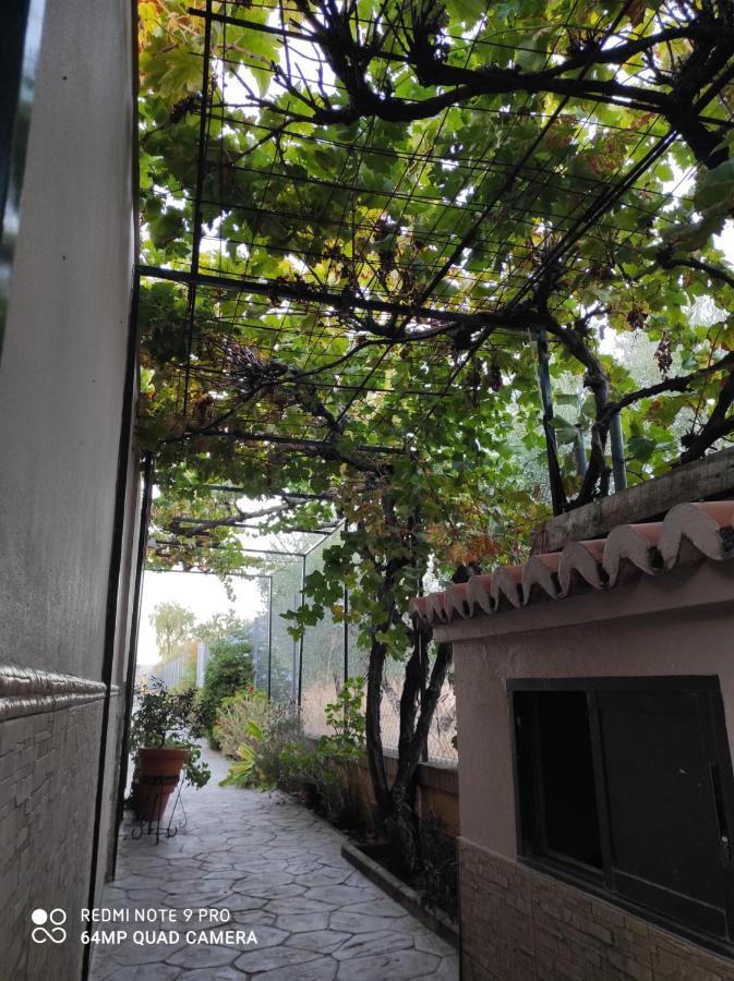 Los Abuelos Setenil De Las Bodegas Exterior photo